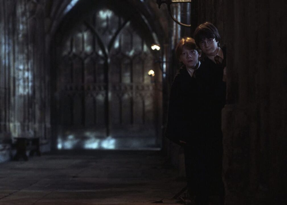 The Wizarding World